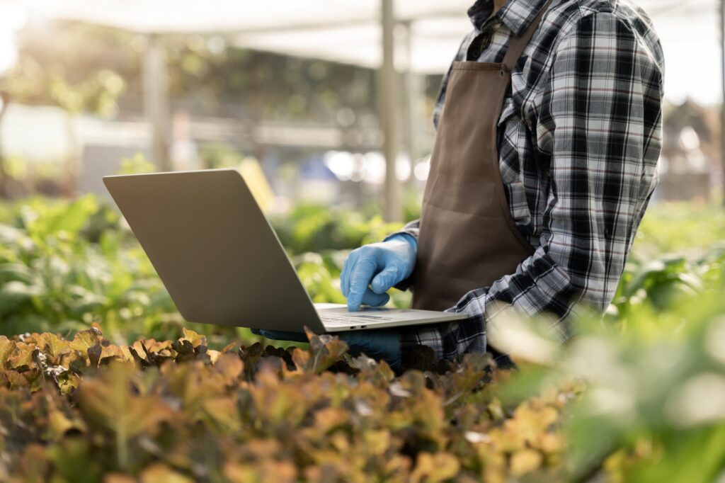 Farmers use the main information network in the internet from their tablets to monitor.