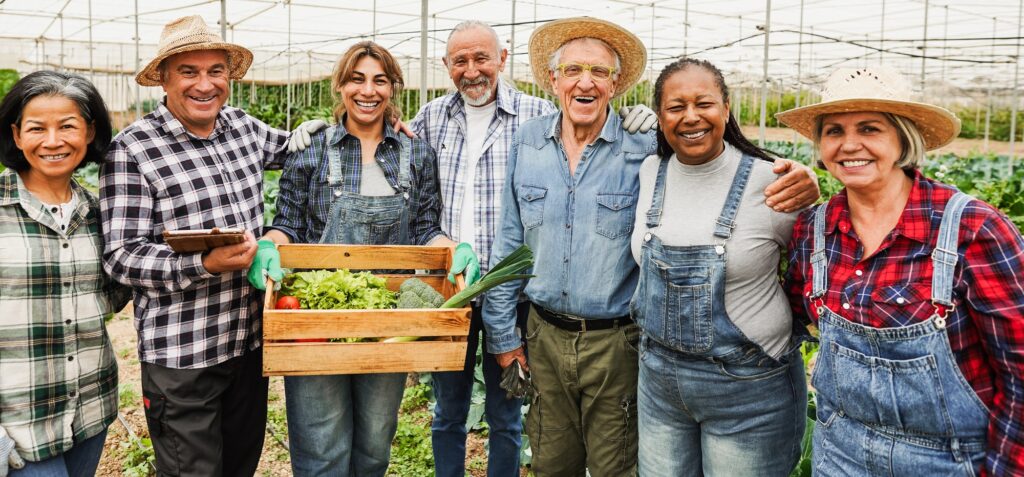 Multiracial people working inside farm greenhouse community picking up organic vegetables