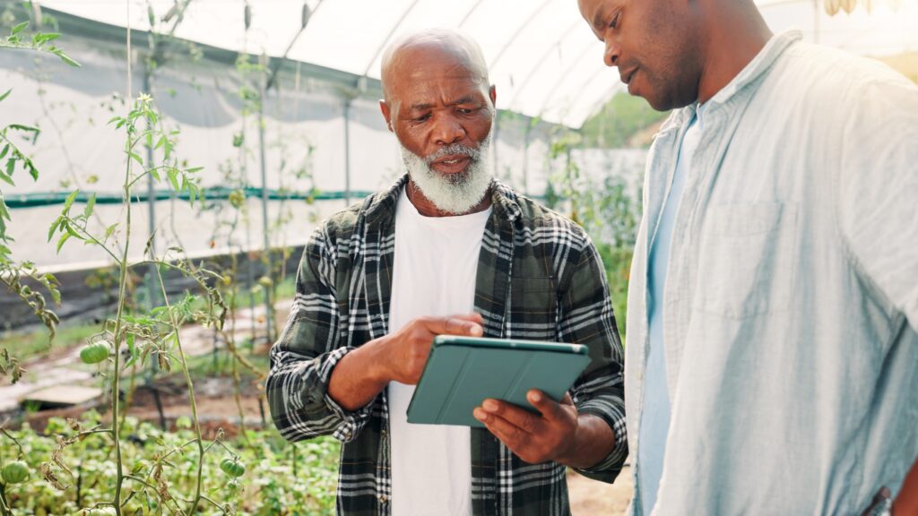 Tablet, black people or farming in greenhouse for crops research, harvest growth or sustainability.