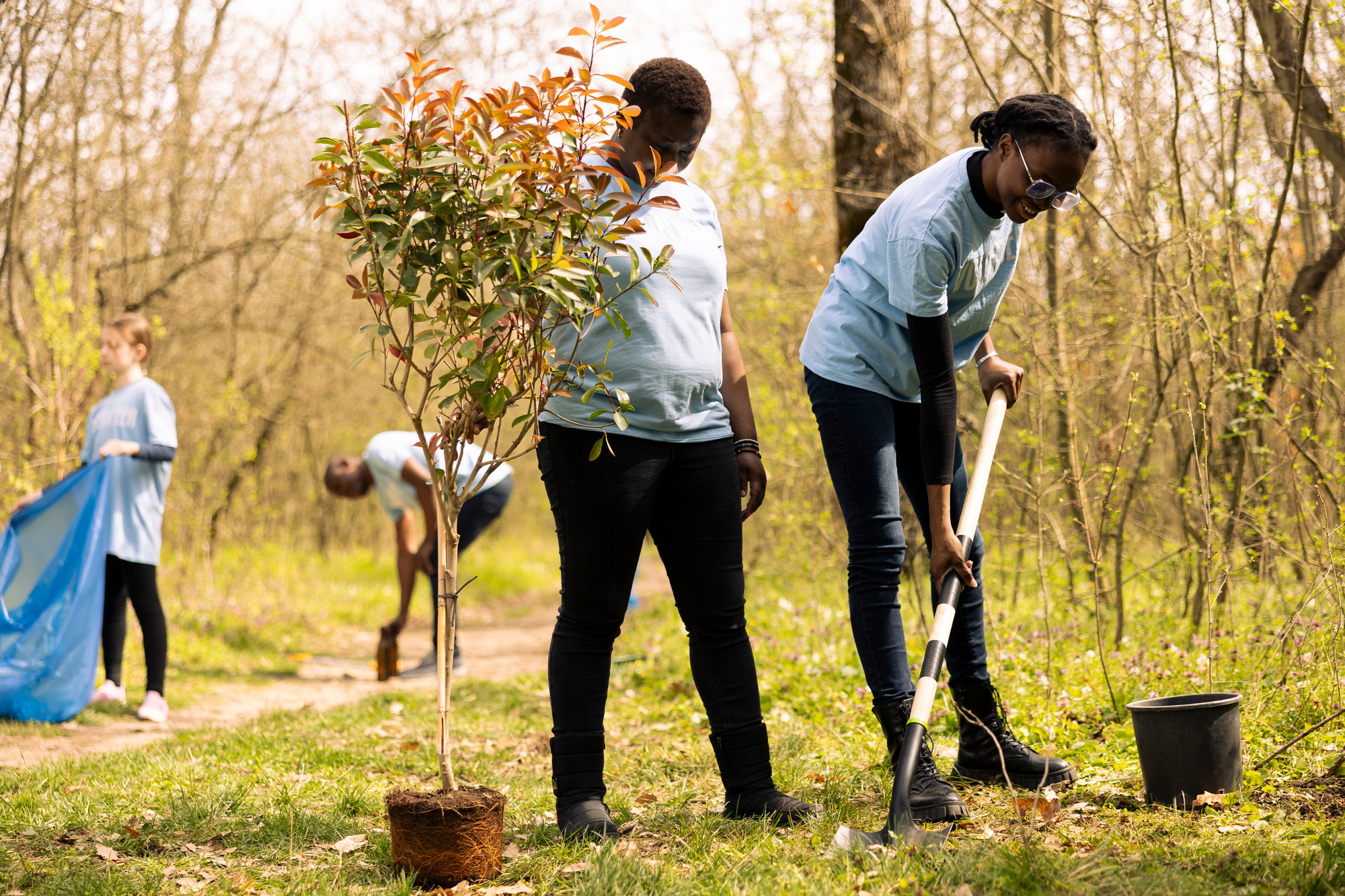 African american people digging ground with a shovel and planting tree
